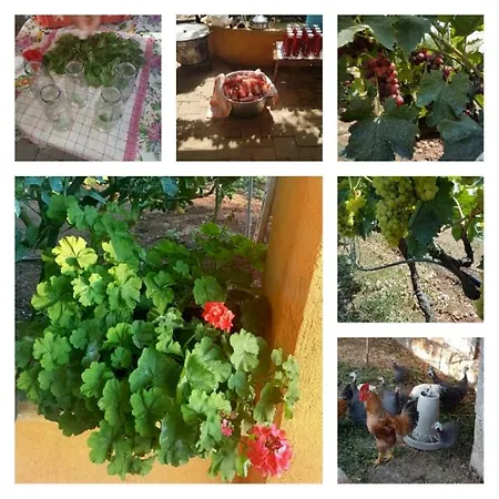Apartment Salento - Casa Di Diana Carcagni Nardo